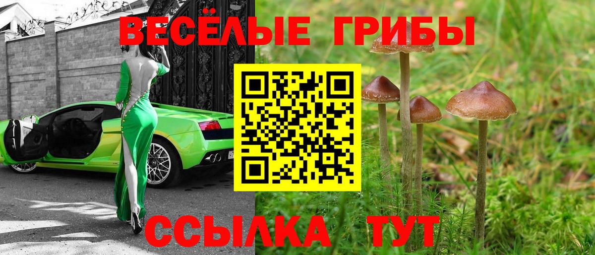 Отрадное  Псилоцибиновые грибы мицелий  Вход с VPN  Псилоцибиновые грибы Psilocybe 